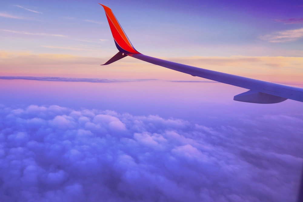 Building Agile Supply Networks: Lessons from Leading Operators